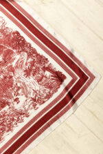 PAÑUELO PARANÁ - Imagen 3